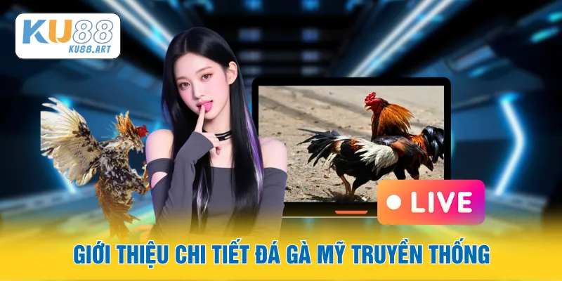 Giới thiệu chi tiết đá gà Mỹ truyền thống